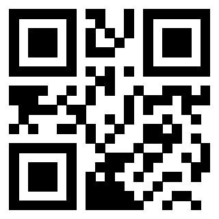 3200013781 - Immagine del QrCode