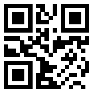 3200013822 - Immagine del QrCode