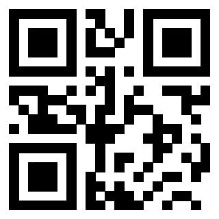Il Qr Code di 3200021332