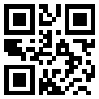 Il Qr Code di 3200021533
