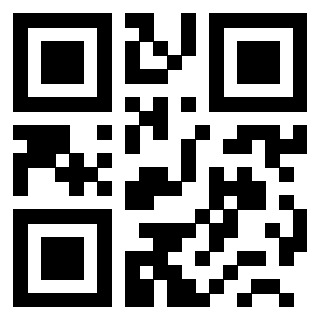 3200057691 - Immagine del QrCode