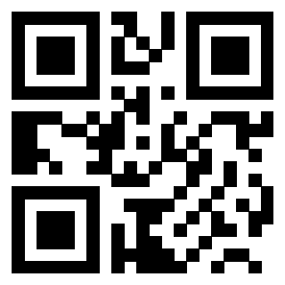 3200103010 - Immagine del QrCode