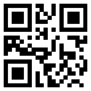 Il Qr Code di 3200159303