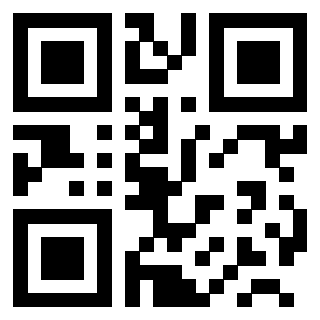 Il Qr Code di 3200160028