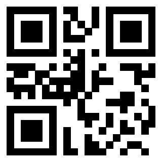 QrCode di 3200173333