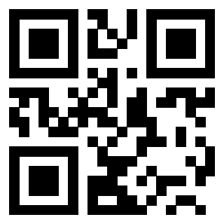 Il Qr Code di 3200291728