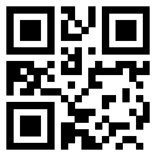 QrCode di 3200291886