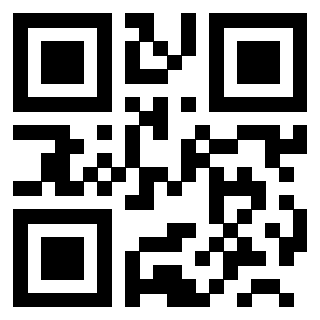 3200308256 - Immagine del QrCode