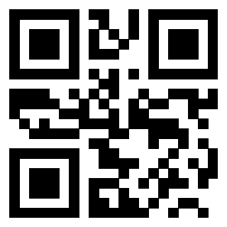 Il Qr Code di 3200309232