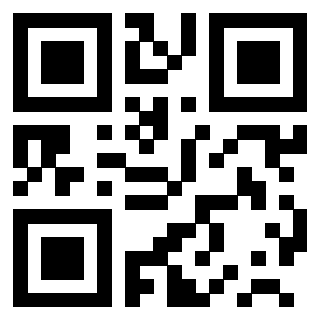 Il Qr Code di 3200497029