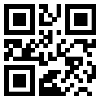 Il Qr Code di 3200520013