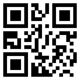 3200520063 - Immagine del QrCode