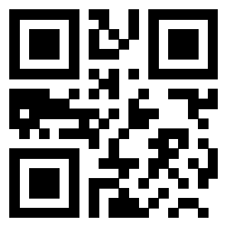 3200520313 QrCode associato