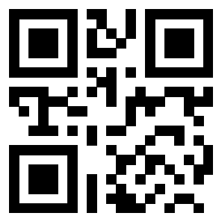 Il Qr Code di 3200533281