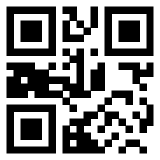 3200533441 QrCode associato