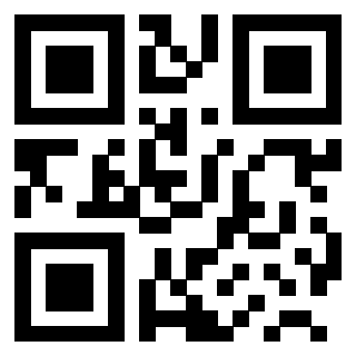 3200577078 - Immagine del QrCode