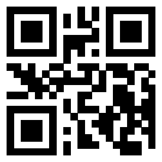 Il Qr Code di 3200606675