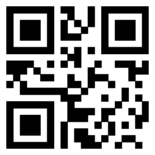 3200607333 QrCode associato