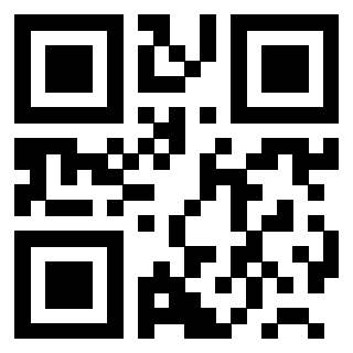 Il Qr Code di 3200756613