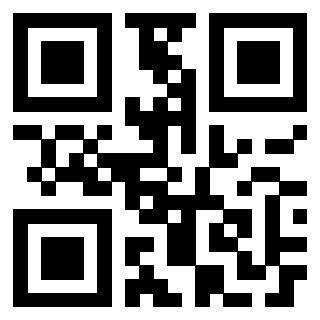Il Qr Code di 3200806032