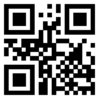 3200806131 - Immagine del QrCode