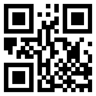 3200806291 - Immagine del QrCode