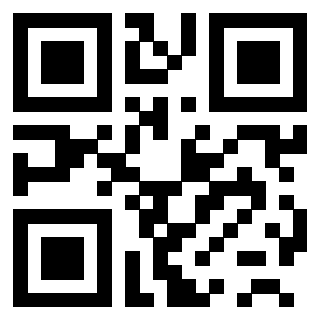 Il Qr Code di 3200808098