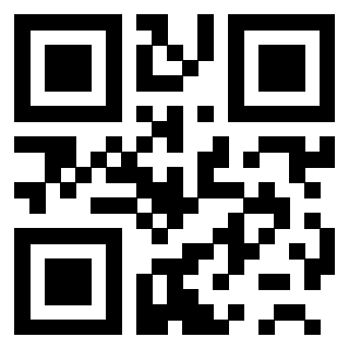 Il Qr Code di 3200808175
