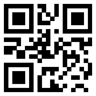 3200808256 Qr Code associato
