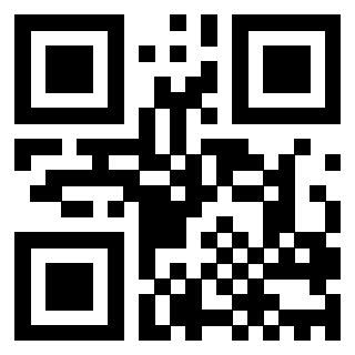 3200813250 - Immagine del QrCode associato