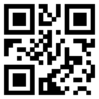 QrCode di 3200859304