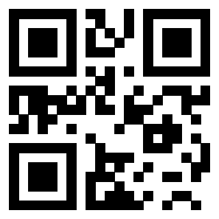 3200880096 - Immagine del Qr Code associato