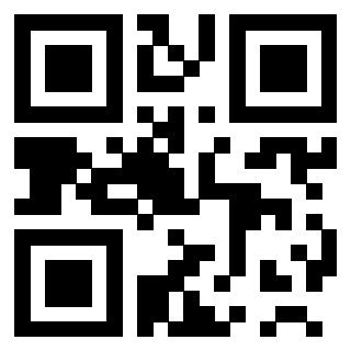 Il Qr Code di 3200996677