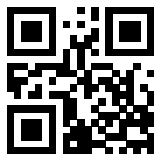 3201104125 Qr Code associato
