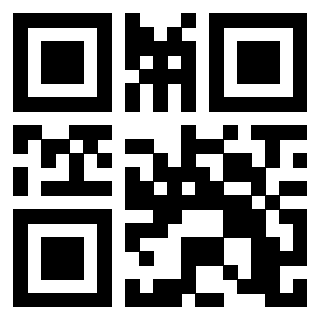 3201313020 - Immagine del QrCode