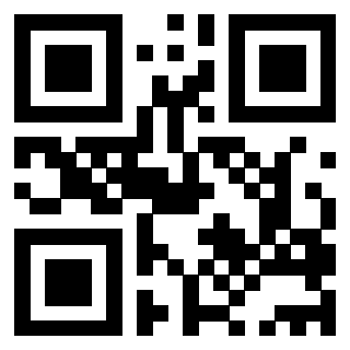 3201313033 - Immagine del Qr Code associato