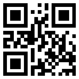 3201313063 - Immagine del QrCode