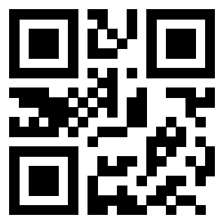 3201313447 - Immagine del QrCode