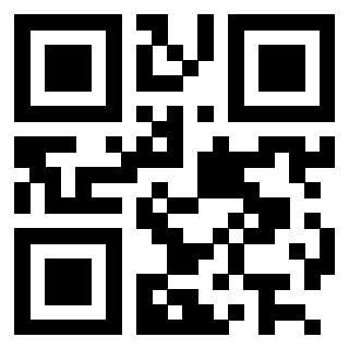 Il Qr Code di 3202083841