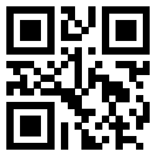 3202158382 - Immagine del QrCode