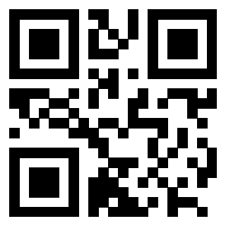 3202403176 - Immagine del QrCode