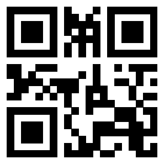 3202403290 - Immagine del QrCode