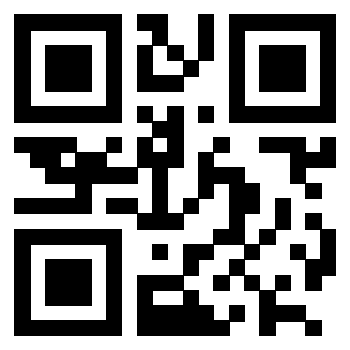 Immagine del Qr Code di 3202403384