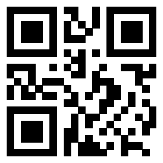 Il Qr Code di 3202403388