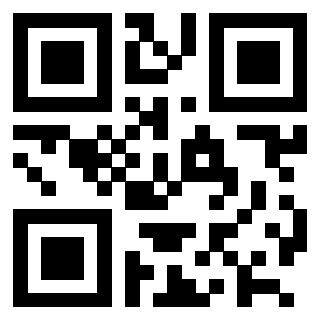 Il Qr Code di 3202403533