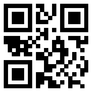 Il Qr Code di 3202403544