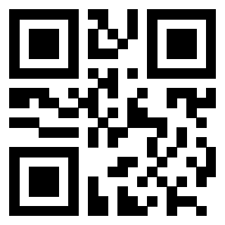 Il Qr Code di 3202403976