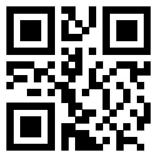 Il Qr Code di 3202404016