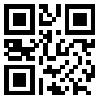 3202404040 - Immagine del QrCode