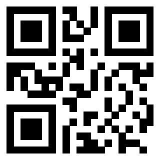 3202404066 - Immagine del QrCode